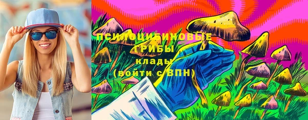 гашик Алексеевка
