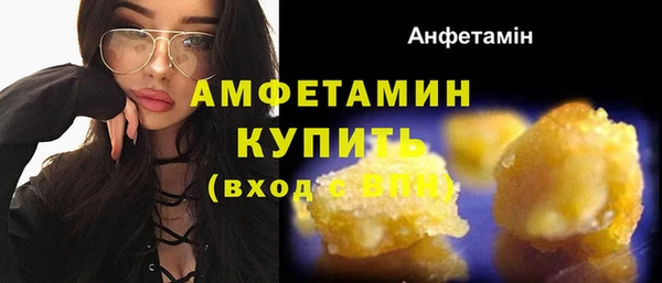 гашик Алексеевка