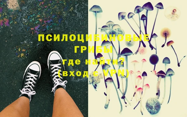 МДПВ Алзамай
