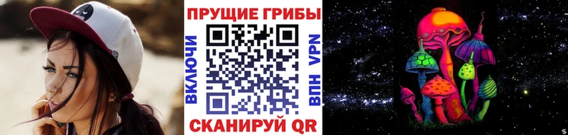 дарнет шоп Порхов Галлюциногенные грибы Magic Shrooms